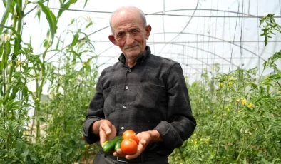 Bayburt’ta 74 yaşındaki çiftçi ata tohumlarıyla organik tarım yapıyor