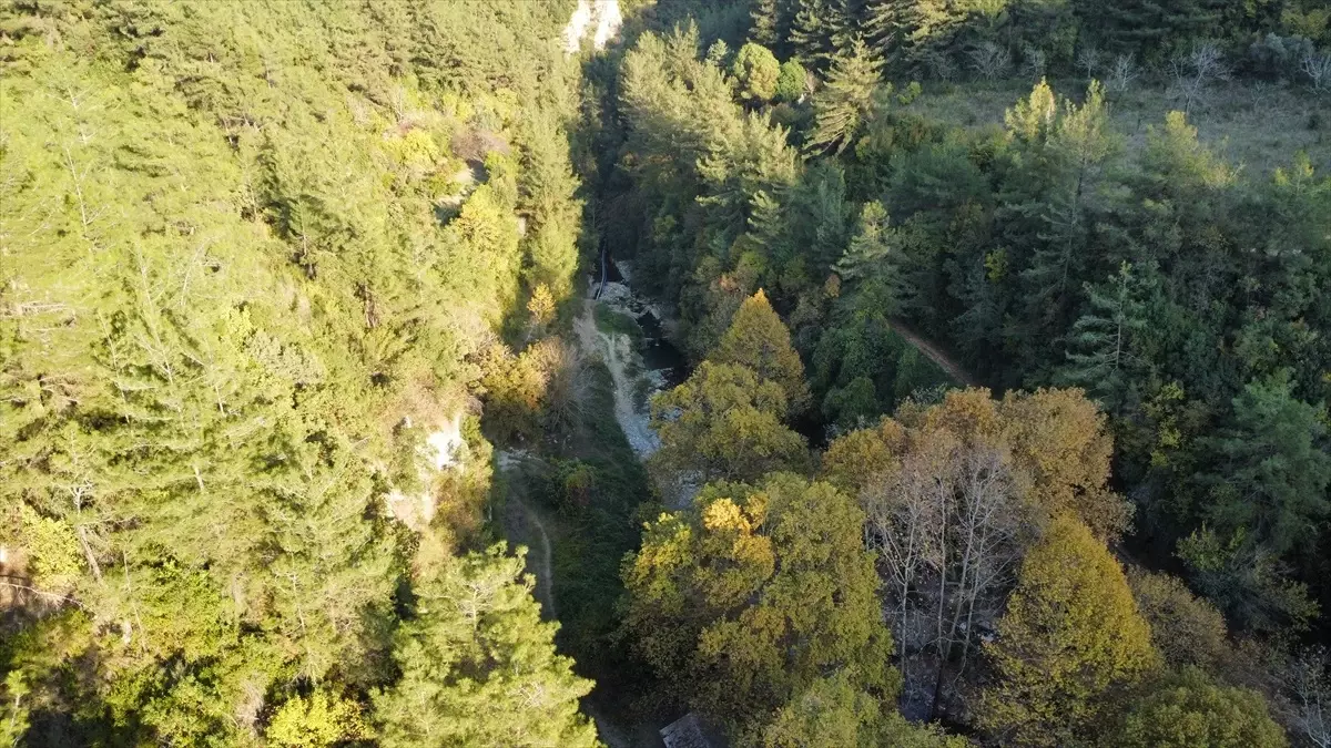 Sonbahar Renkleri Dörtyol’u Sardı